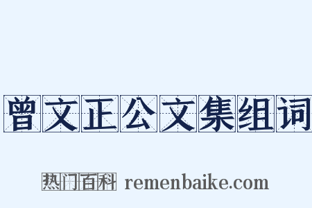 曾文正公文集组词是什么意思的图片